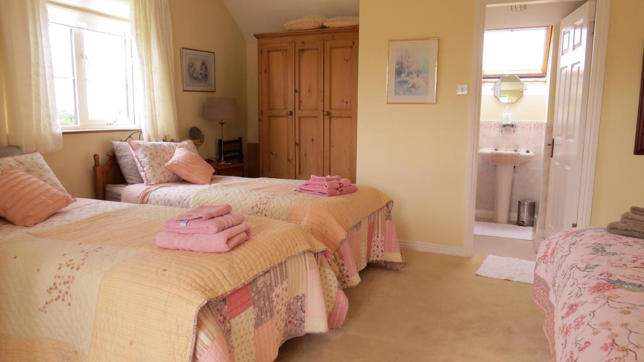 Bed and Breakfast Tyreda Ennis Zewnętrze zdjęcie